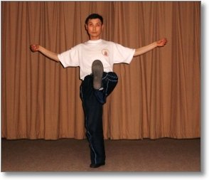 tai chi gallery 10