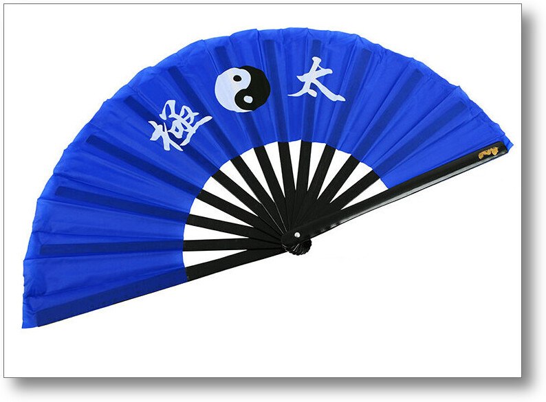 tai chi training